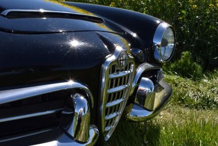 Alfa Romeo Spider 123.456 km 59.000 &euro; Kamen 59174