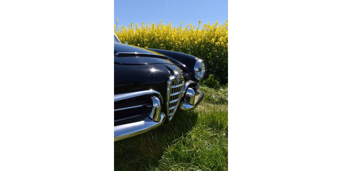 Alfa Romeo Spider 123.456 km 59.000 &euro; Kamen 59174