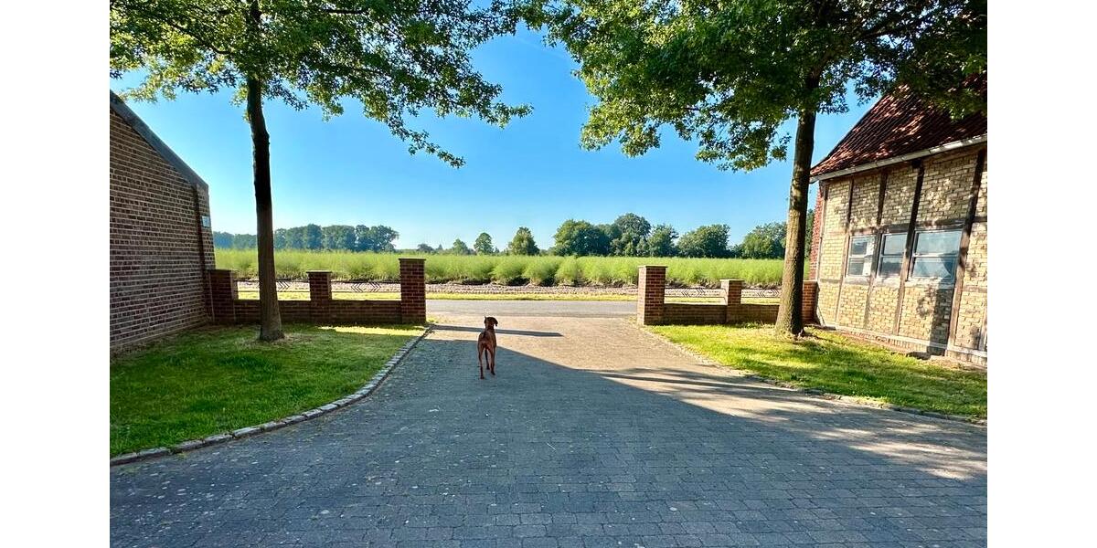 Gewerbeobjekt Münster Münster-Ost - 715&euro; | Angebot:20799477