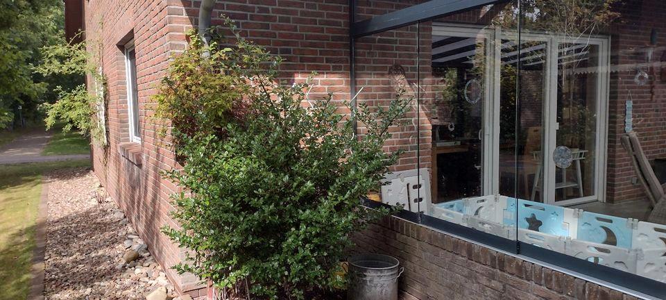 Einfamilienhaus Münster Münster-Südost - 4 Zimmer, 120 m&sup2;, 385.000&euro; | Angebot:26221169