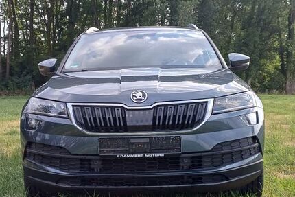 Skoda Karoq 99.513 km 18.699 &euro; Hamm 59069