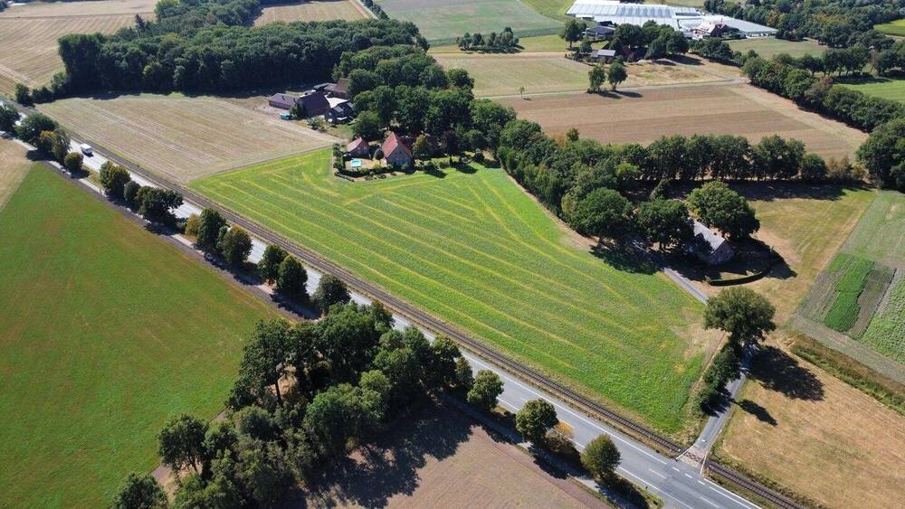 Einfamilienhaus Herzebrock-Clarholz Clarholz - 8 Zimmer, 180 m&sup2;, 850.000&euro; | Angebot:25836561