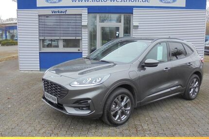 Ford Kuga 31.250 km 24.990 &euro; Hamm 59069