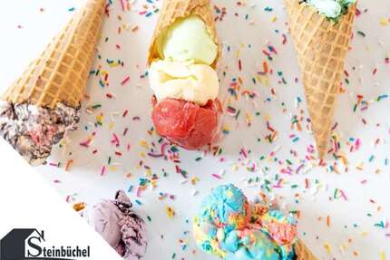 Gewerbeobjekt Münster Berg Fidel - 495.000&euro; | Angebot:24535845