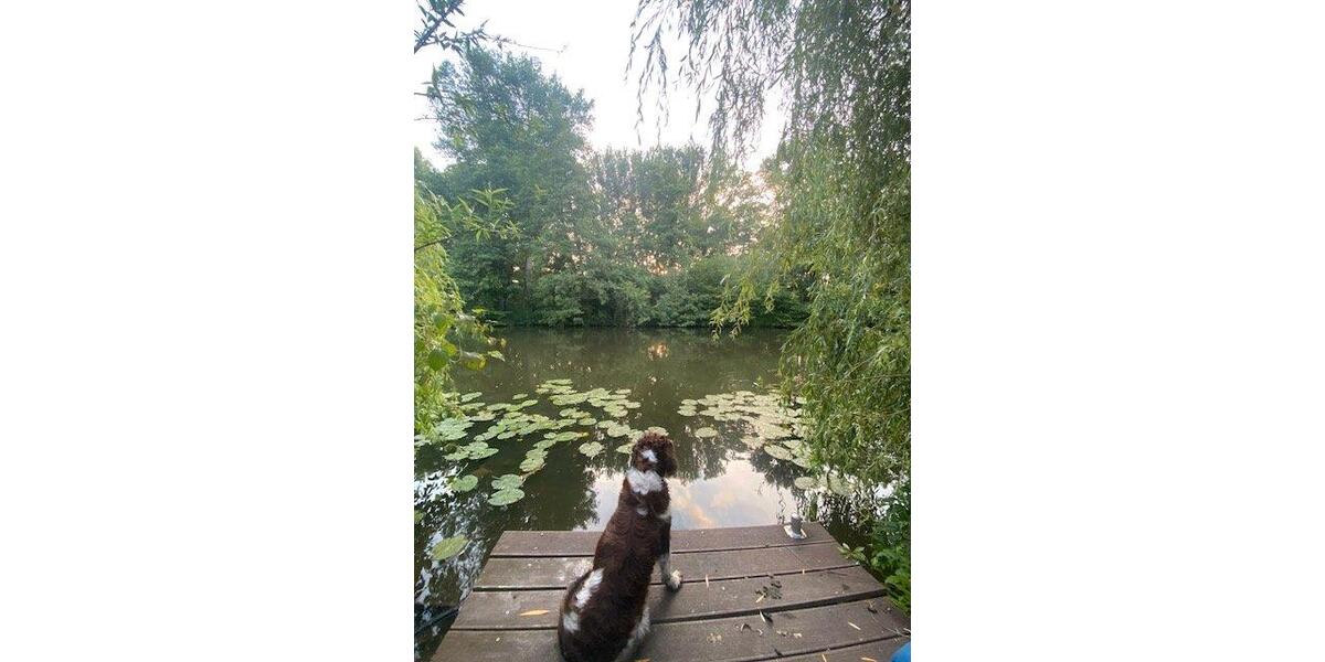 Einfamilienhaus Münster Münster-Ost - 3 Zimmer, 62 m&sup2;, 350.000&euro; | Angebot:26226564