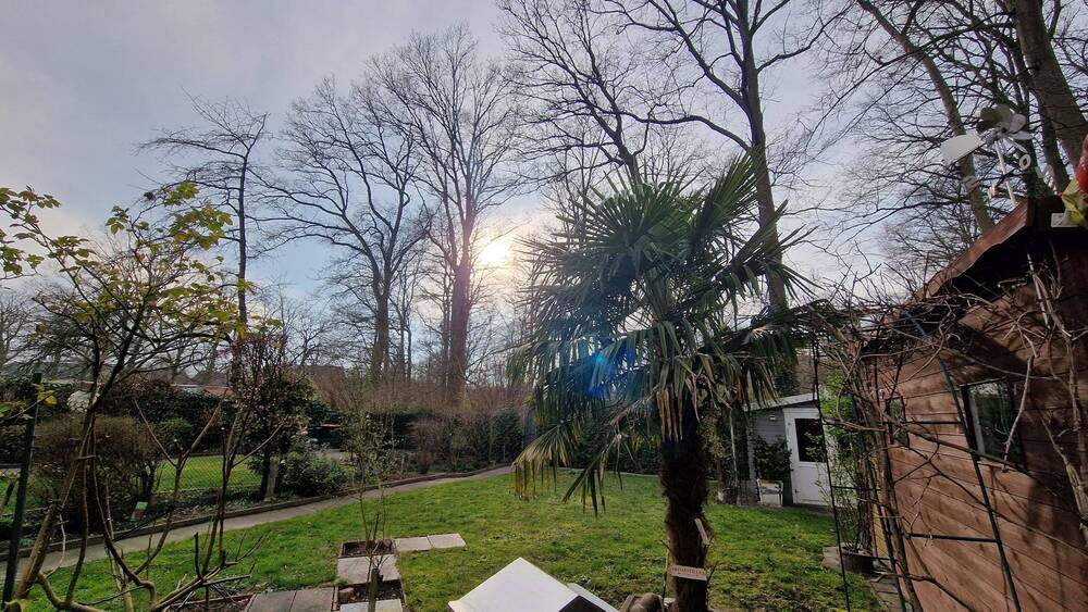 Einfamilienhaus Münster Angelmodde - 6 Zimmer, 530.000&euro; | Angebot:25729868