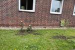 Doppelhaushälfte Münster Münster-Ost - 3 Zimmer, 78 m&sup2;, 350.000&euro; | Angebot:26821727