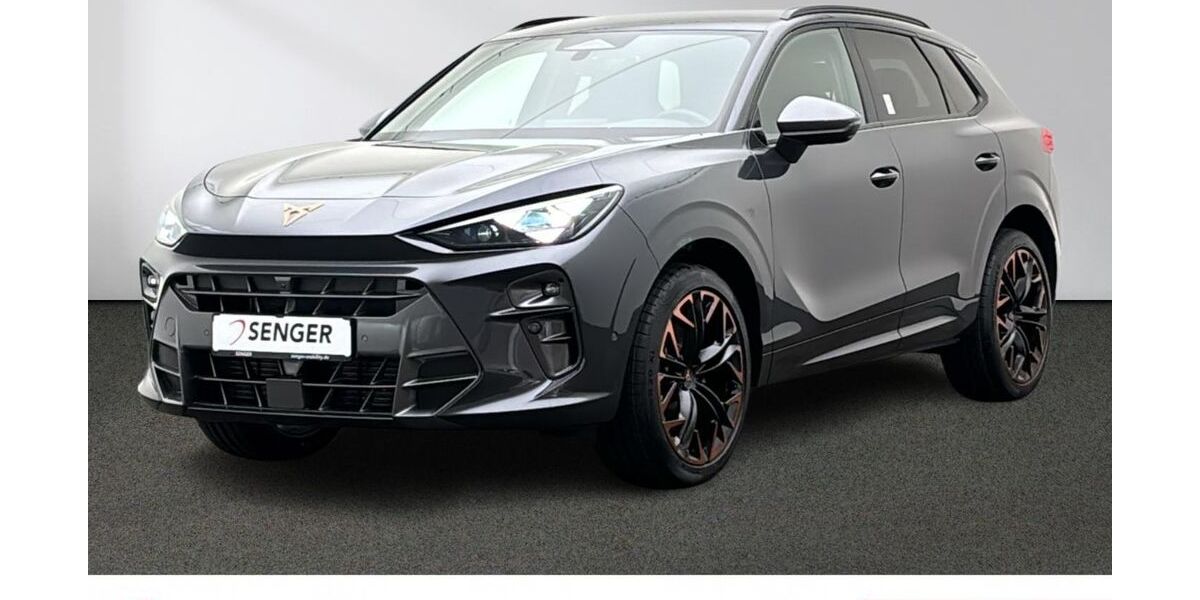 Cupra Terramar 3.500 km 45.980 &euro; Münster 48157