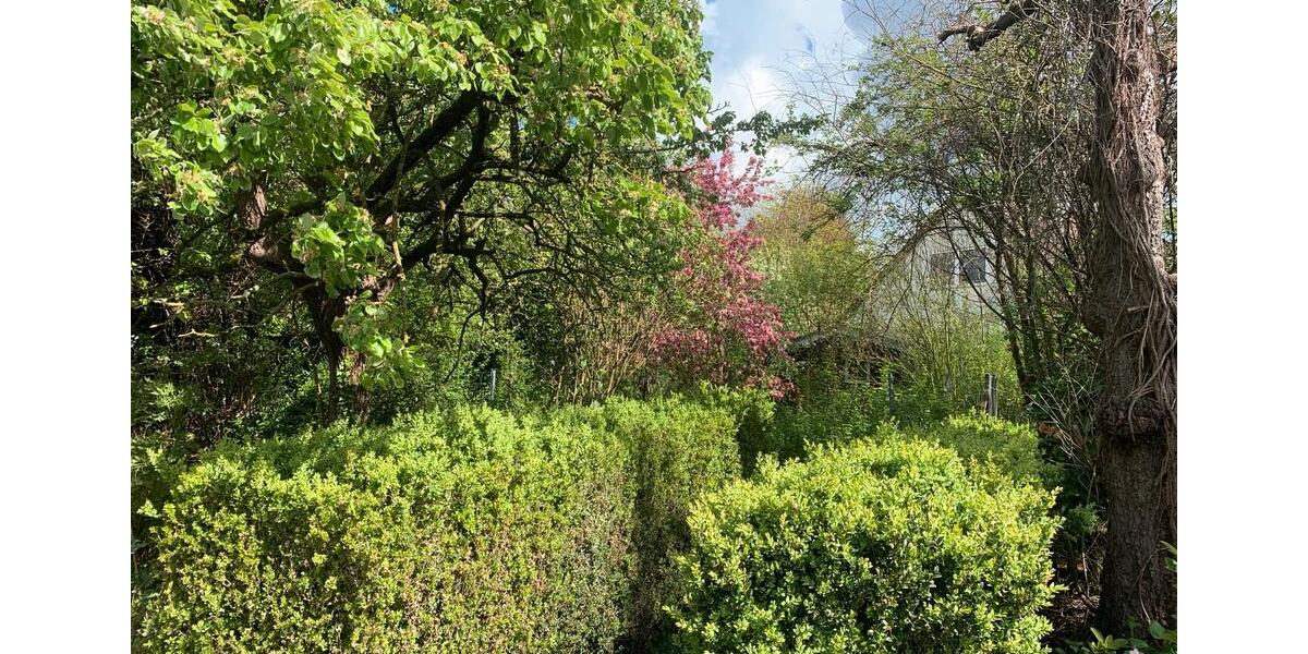 Einfamilienhaus Soest - 594.000&euro; | Angebot:26222139