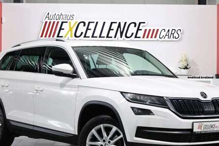 Skoda Kodiaq 190.000 km 18.991 &euro; Hamm 59077