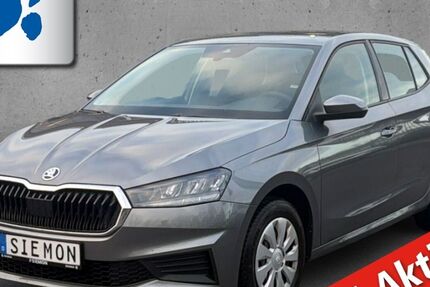 Skoda Fabia 53.152 km 12.990 &euro; Warendorf 48231