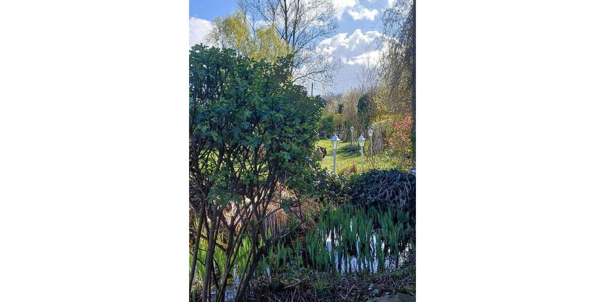 Einfamilienhaus Münster Wolbeck Angelmodde - 1 Zimmer, 390 m&sup2;, 2.550.000&euro; | Angebot:25996541