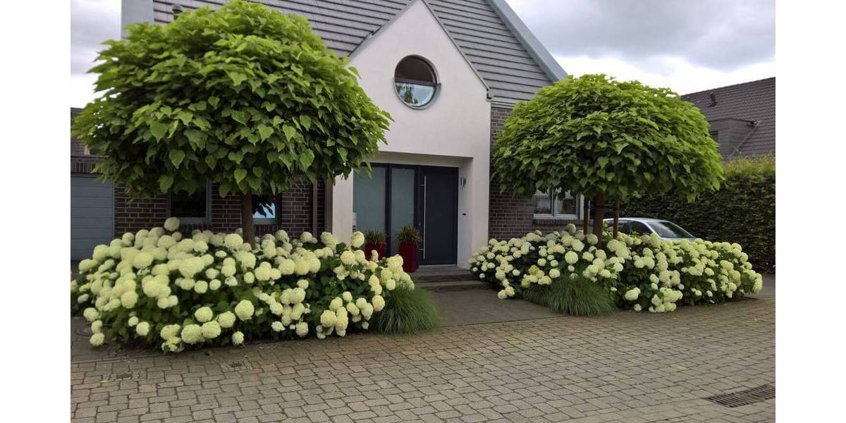 Einfamilienhaus Sendenhorst / Albersloh Albersloh - 5 Zimmer, 148 m&sup2;, 619.000&euro; | Angebot:26451243