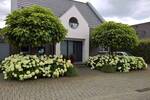Einfamilienhaus Sendenhorst / Albersloh Albersloh - 5 Zimmer, 148 m&sup2;, 619.000&euro; | Angebot:26451243