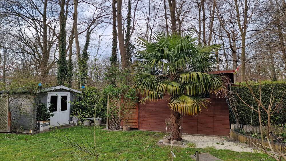 Einfamilienhaus Münster Angelmodde - 6 Zimmer, 530.000&euro; | Angebot:25729868