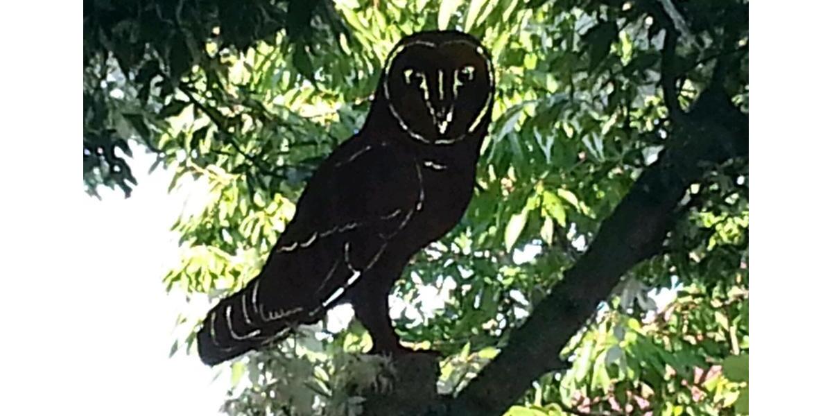 Einfamilienhaus Senden - 5 Zimmer, 160 m&sup2;, 690.000&euro; | Angebot:24839611