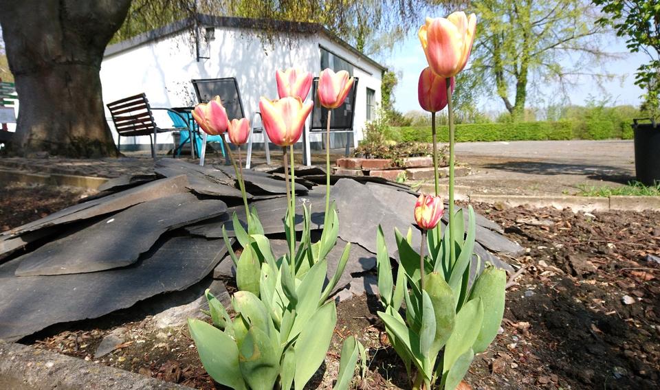 Einfamilienhaus Bad Sassendorf - 956.000&euro; | Angebot:26002958