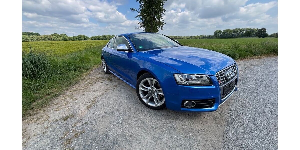 Audi S5 224.000 km 11.299 &euro; Bad Sassendorf 59505