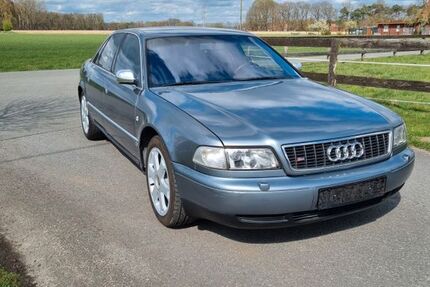 Audi S8 390.275 km 9.999 &euro; Herzebrock 33442