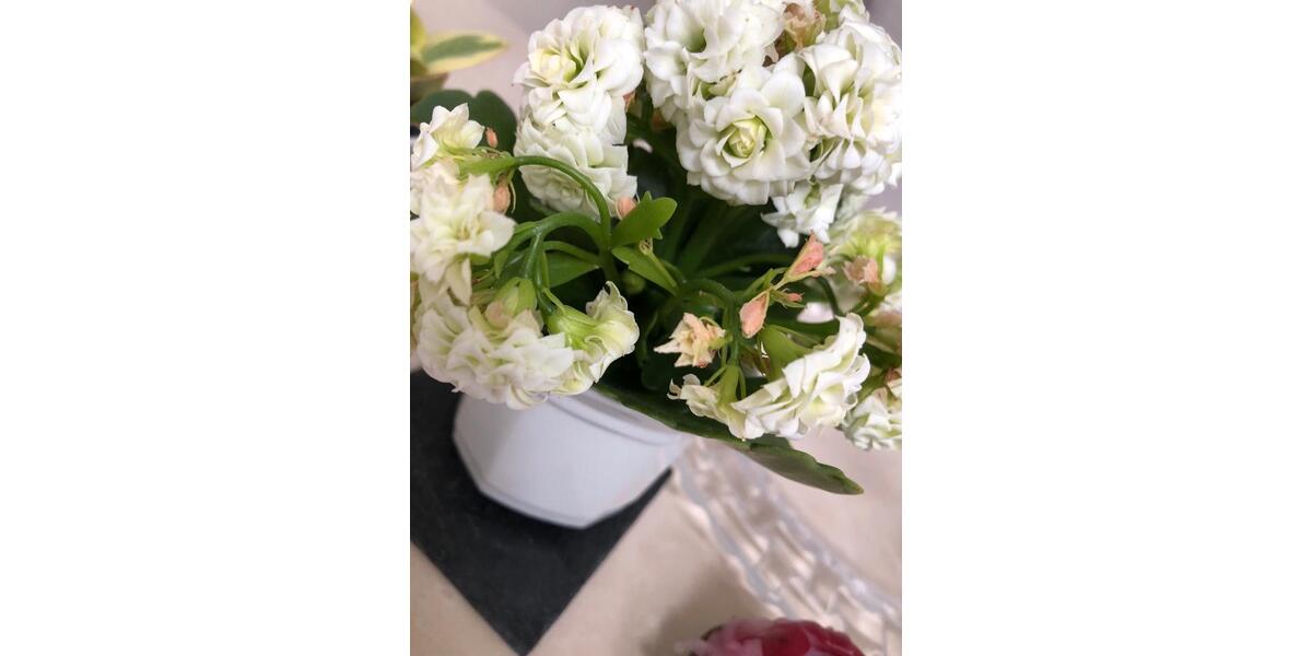 Etagenwohnung Hamm - 1 Zimmer, 26 m&sup2;, 400&euro; | Angebot:26310417